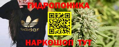 ECSTASY Кулебаки
