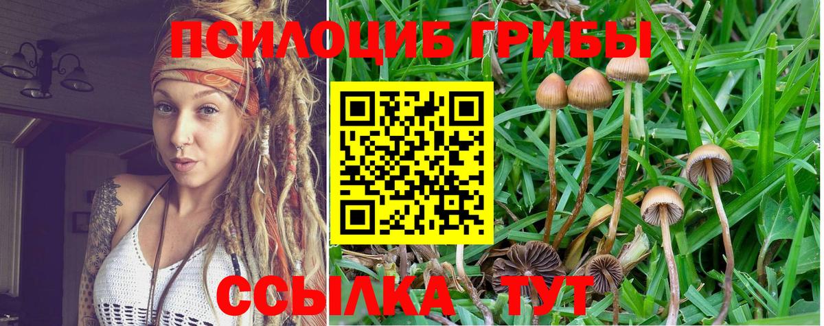 Псилоцибиновые грибы GOLDEN TEACHER Домодедово