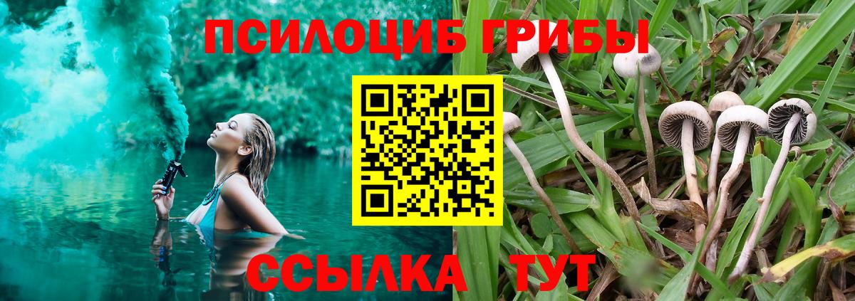 Псилоцибиновые грибы Cubensis  Вход с VPN  Домодедово 